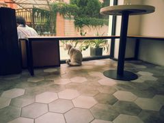 -研途咖啡馆(健康路店)