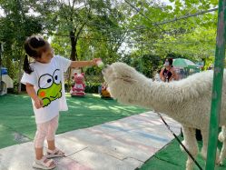 -萌宠亲子动物乐园(槐房万达店)