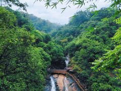 -广州白江湖森林公园