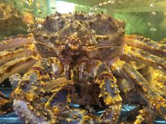 -蟹之国·精品蟹料理(极地店)