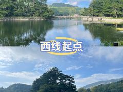 -庐山风景区花径公园