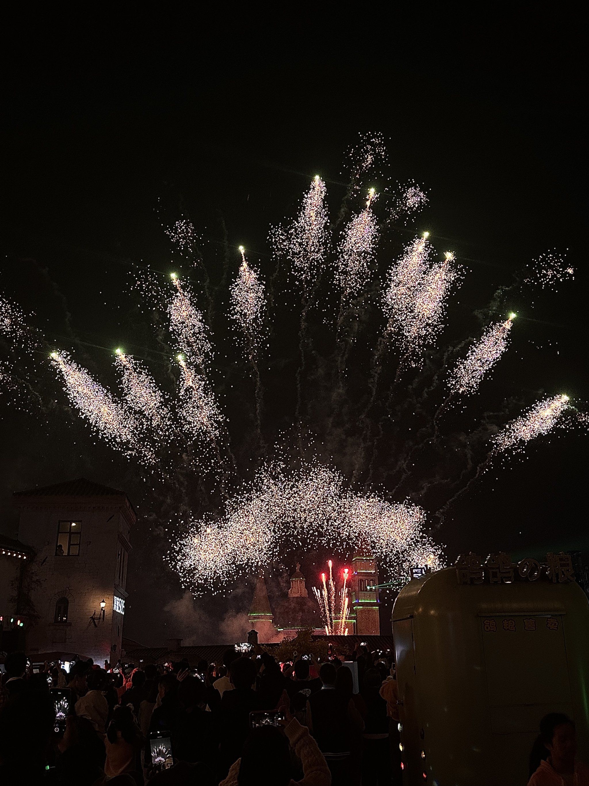 烟花秀 震撼上演