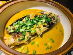 千岛湖鱼头-千岛湖小鱼儿·淳安匠心农家菜