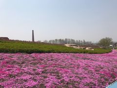 -西海岸生态观光园