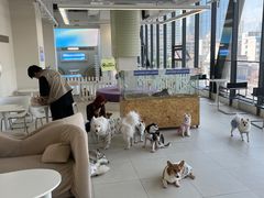 -怪兽屋·羊驼·猫咖·狗咖(俊华广场店)