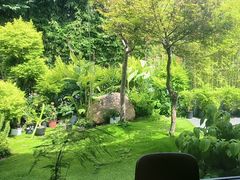 -虹之森·小馆