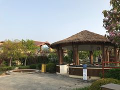 -大连金石滩绿发温泉假日酒店