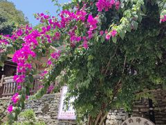 -高荡千年布依古寨旅游景区