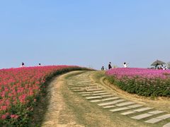 -径山花海