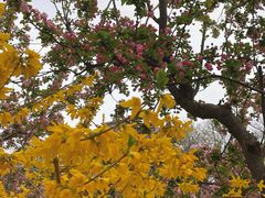 -元大都城垣遗址公园