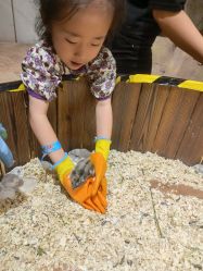 -宝燕乐园(闵行旗舰店)