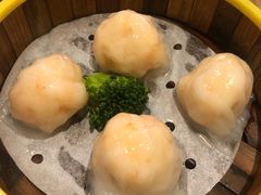 -粤港餐厅(禹州商业广场店)