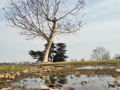 -钟山体育运动公园