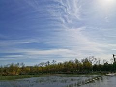 -大兴滨河森林公园