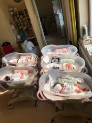 -皇家月府月子中心(沈阳店)