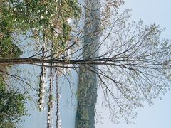 -仙海旅游度假区