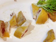 -鹏城人家海鲜酒家·23年老字号(较场尾店)