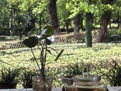 -野蔓果·山野菜(西湖景区·龙井茶田店)