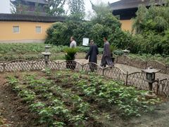 -重元寺香积厨素斋馆