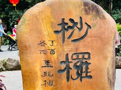 -深圳仙湖植物园