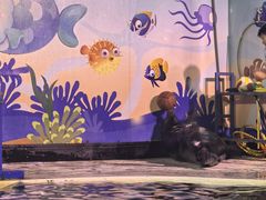 -太平洋海底世界