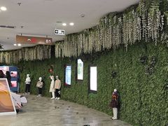 -砂之船奥莱(南京江宁店)