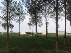 -东堤公园