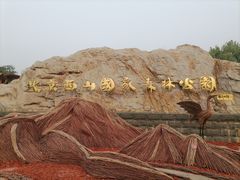 -北京西山国家森林公园