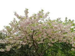 -江南大学(蠡湖校区)