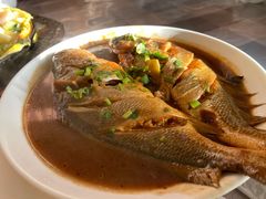 干烧大黄鱼-华春餐馆(鱼山路店)