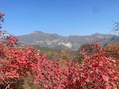 -周口店坡峰岭风景区