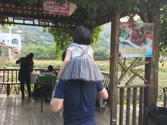 -丹樱生态园