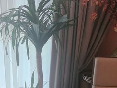 -鸽子侯·家宴·平价海鲜(绿地店)