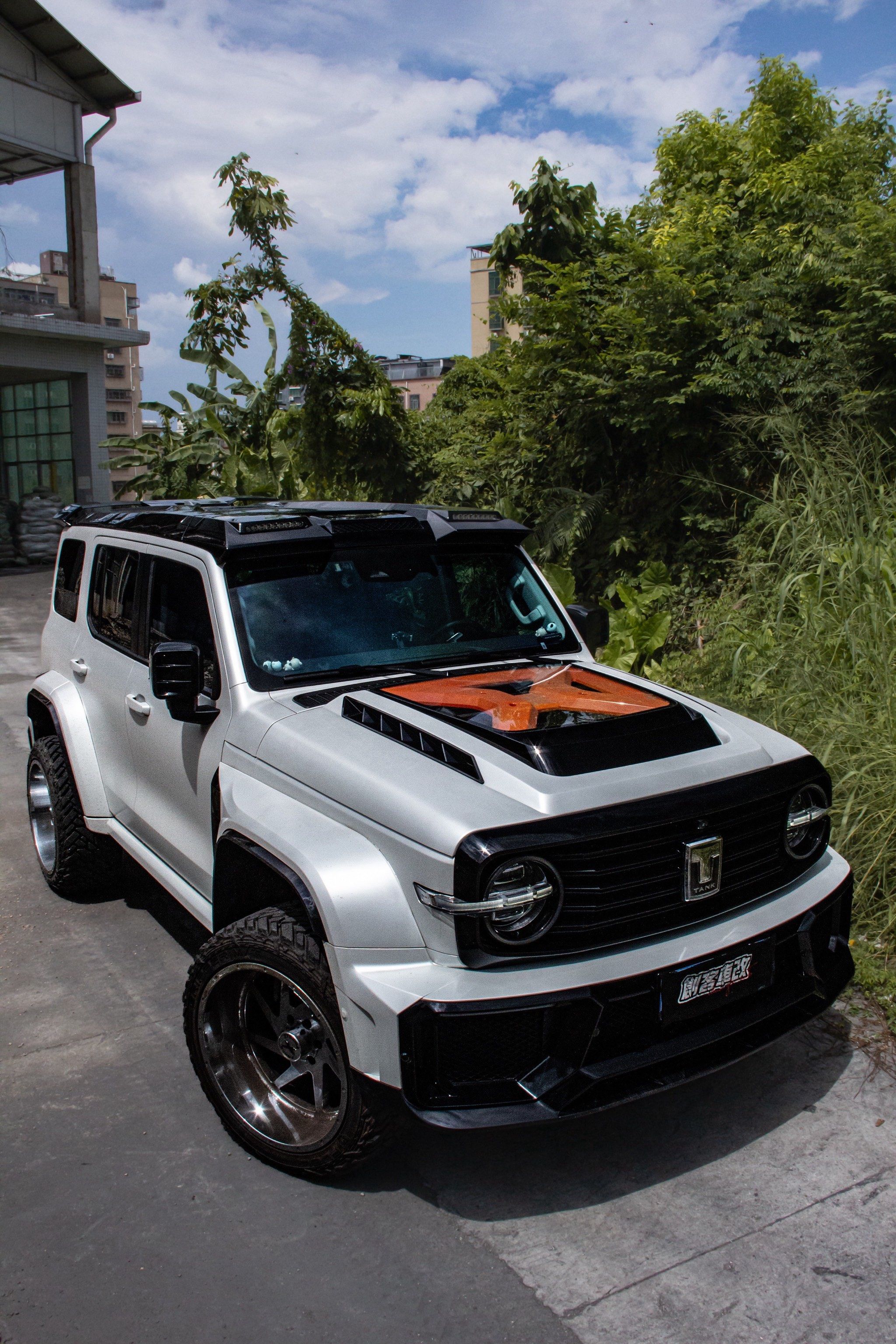 坦克300改装改色案例.