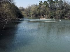 -上海吴淞炮台湾国家湿地公园