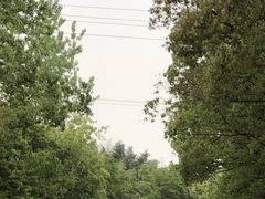 -动邦皮划艇·桨板·独木舟·团建户外运动俱乐部