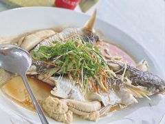 清蒸鲚鱼-辉记虾塘海鲜农庄