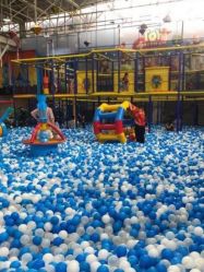 -爱丽丝奇幻乐园