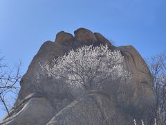 -北京凤凰岭