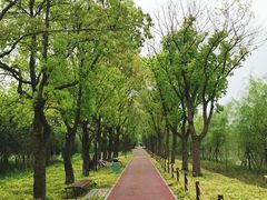 -柳鹭田园区