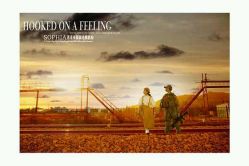 点击看大图 -苏菲亚婚纱影楼尊爵店(昆区店)