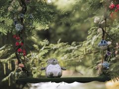 -上海滨江森林公园