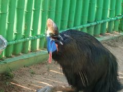 -西霞口神雕山野生动物世界