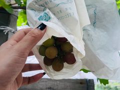 -马陆小张葡萄园农家乐