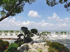 -状元楼(金溪路店)