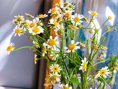 -红小满休闲餐厅(十全街店)