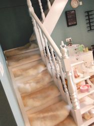 -YOUNGSKIN氧研皮肤管理中心