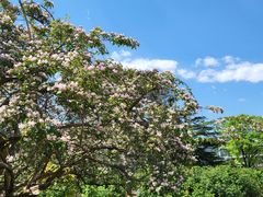 -国家植物园南园