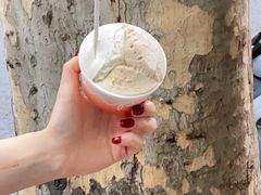 -Dip in Gelato(富民路店)