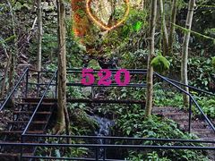 -夏霖九天银瀑风景区